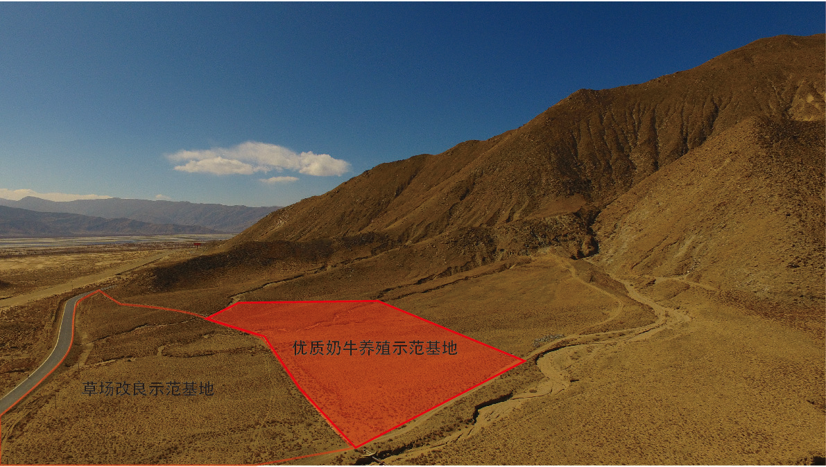 中国·BB贝博艾弗森(股份)有限公司-官方网站