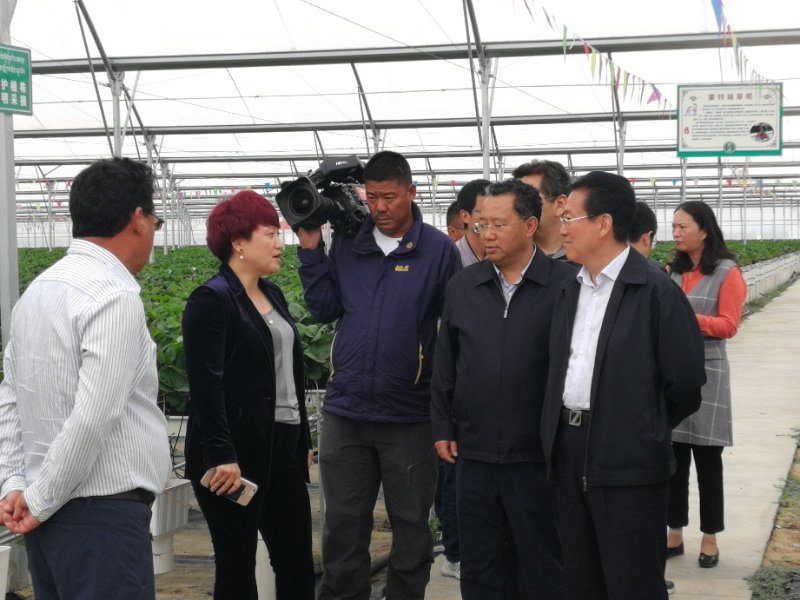 中国·BB贝博艾弗森(股份)有限公司-官方网站