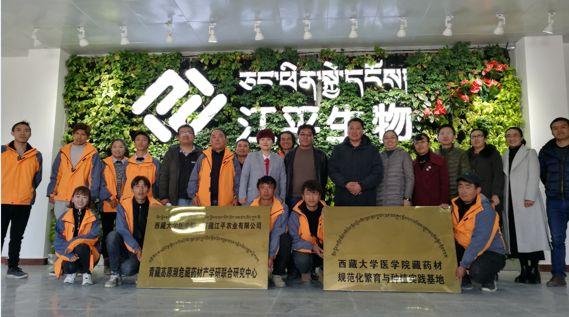 中国·BB贝博艾弗森(股份)有限公司-官方网站