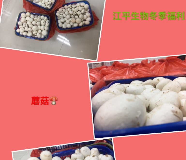 中国·BB贝博艾弗森(股份)有限公司-官方网站
