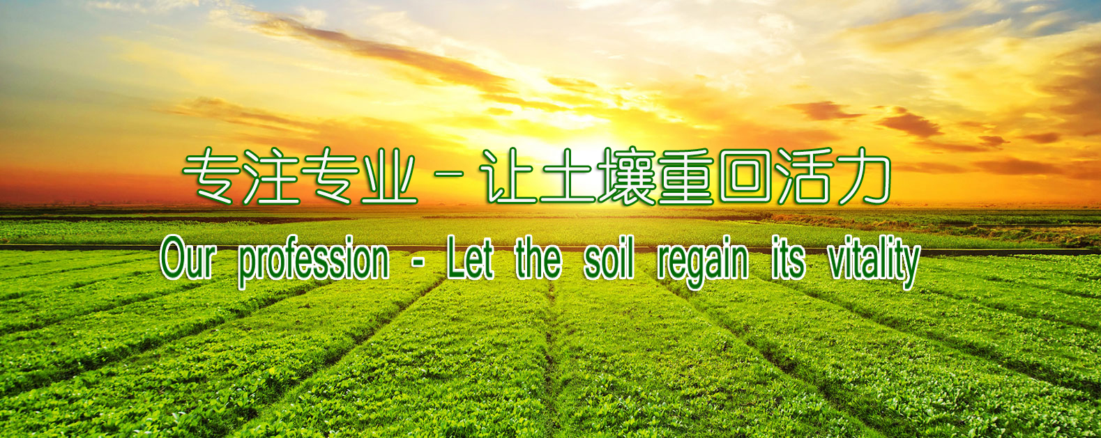 中国·BB贝博艾弗森(股份)有限公司-官方网站