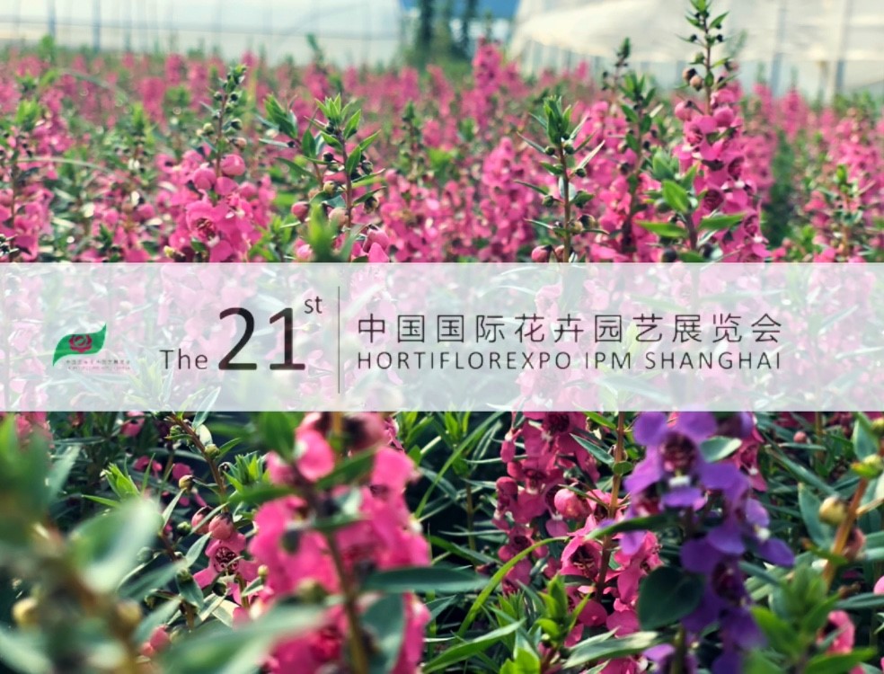 中国·BB贝博艾弗森(股份)有限公司-官方网站