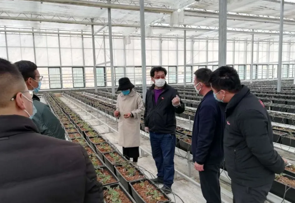 中国·BB贝博艾弗森(股份)有限公司-官方网站