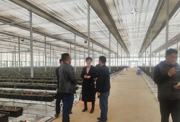中国·BB贝博艾弗森(股份)有限公司-官方网站