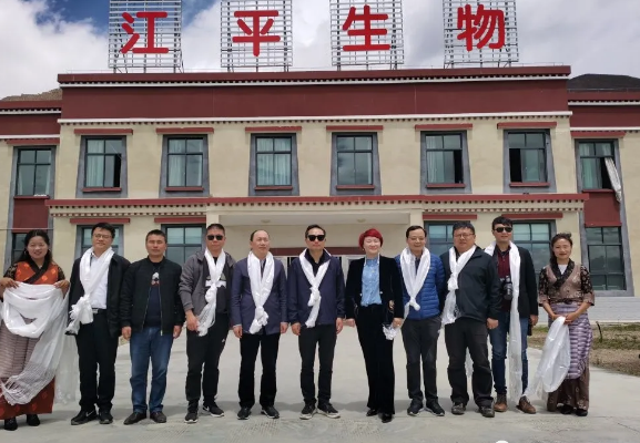 中国·BB贝博艾弗森(股份)有限公司-官方网站