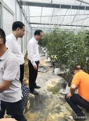 中国·BB贝博艾弗森(股份)有限公司-官方网站