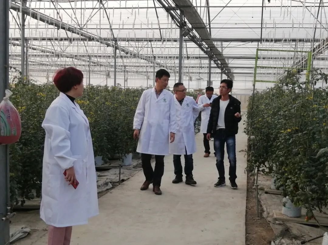中国·BB贝博艾弗森(股份)有限公司-官方网站