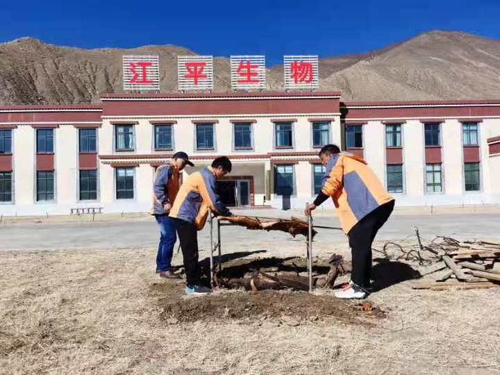 中国·BB贝博艾弗森(股份)有限公司-官方网站