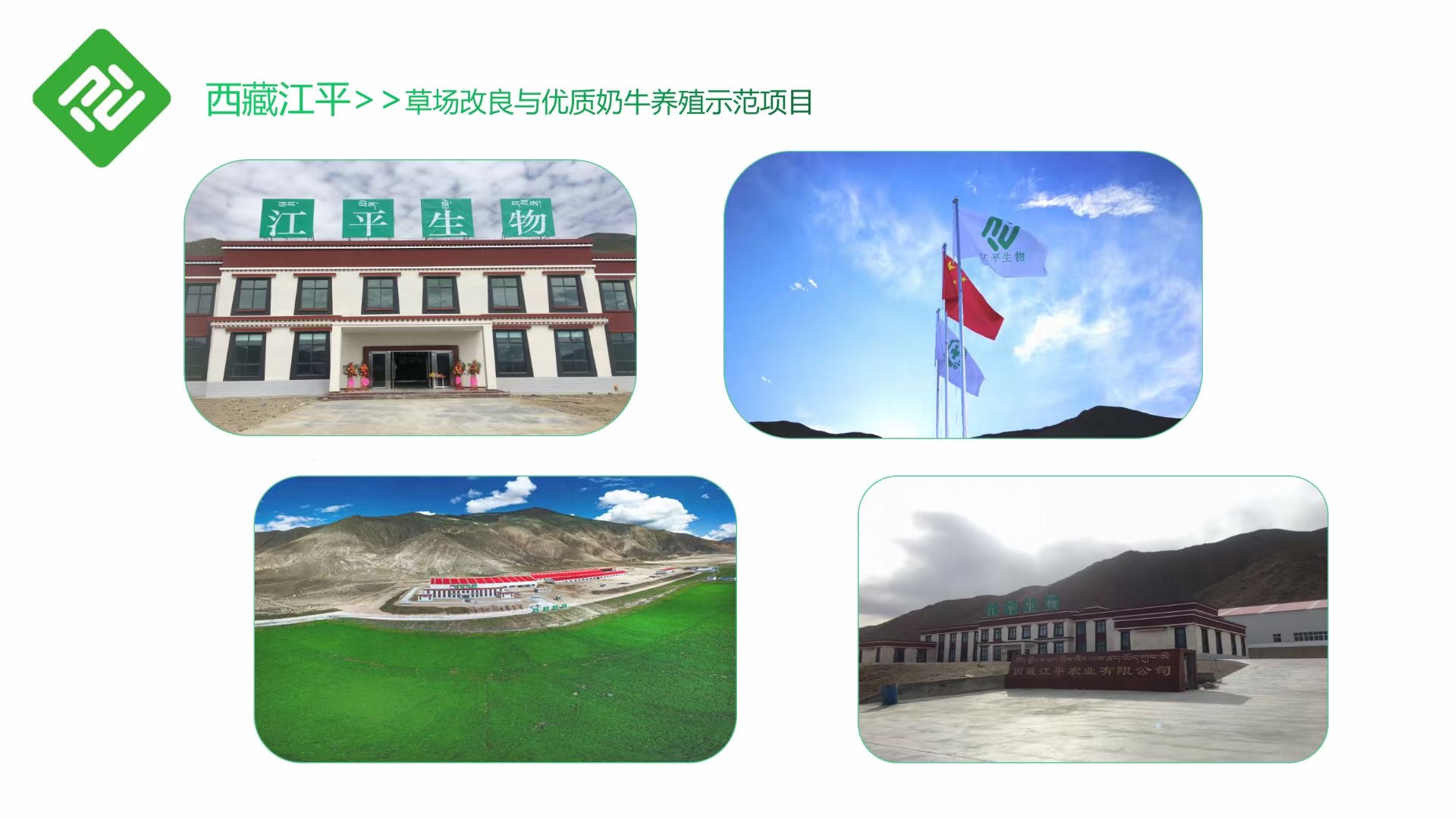 中国·BB贝博艾弗森(股份)有限公司-官方网站