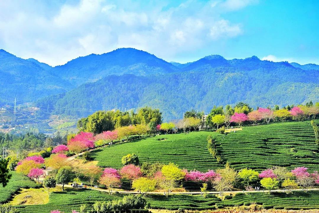 中国·BB贝博艾弗森(股份)有限公司-官方网站