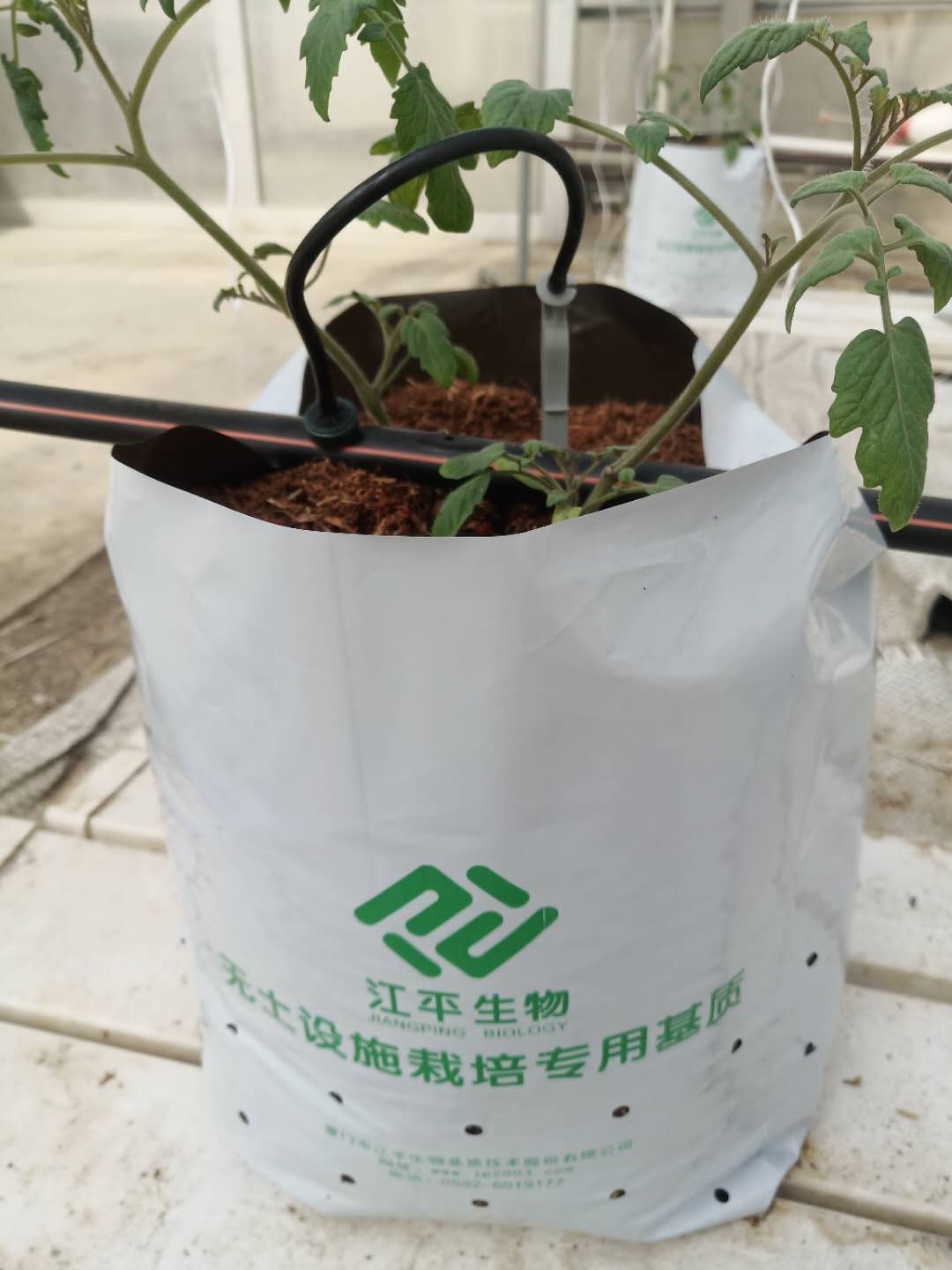中国·BB贝博艾弗森(股份)有限公司-官方网站