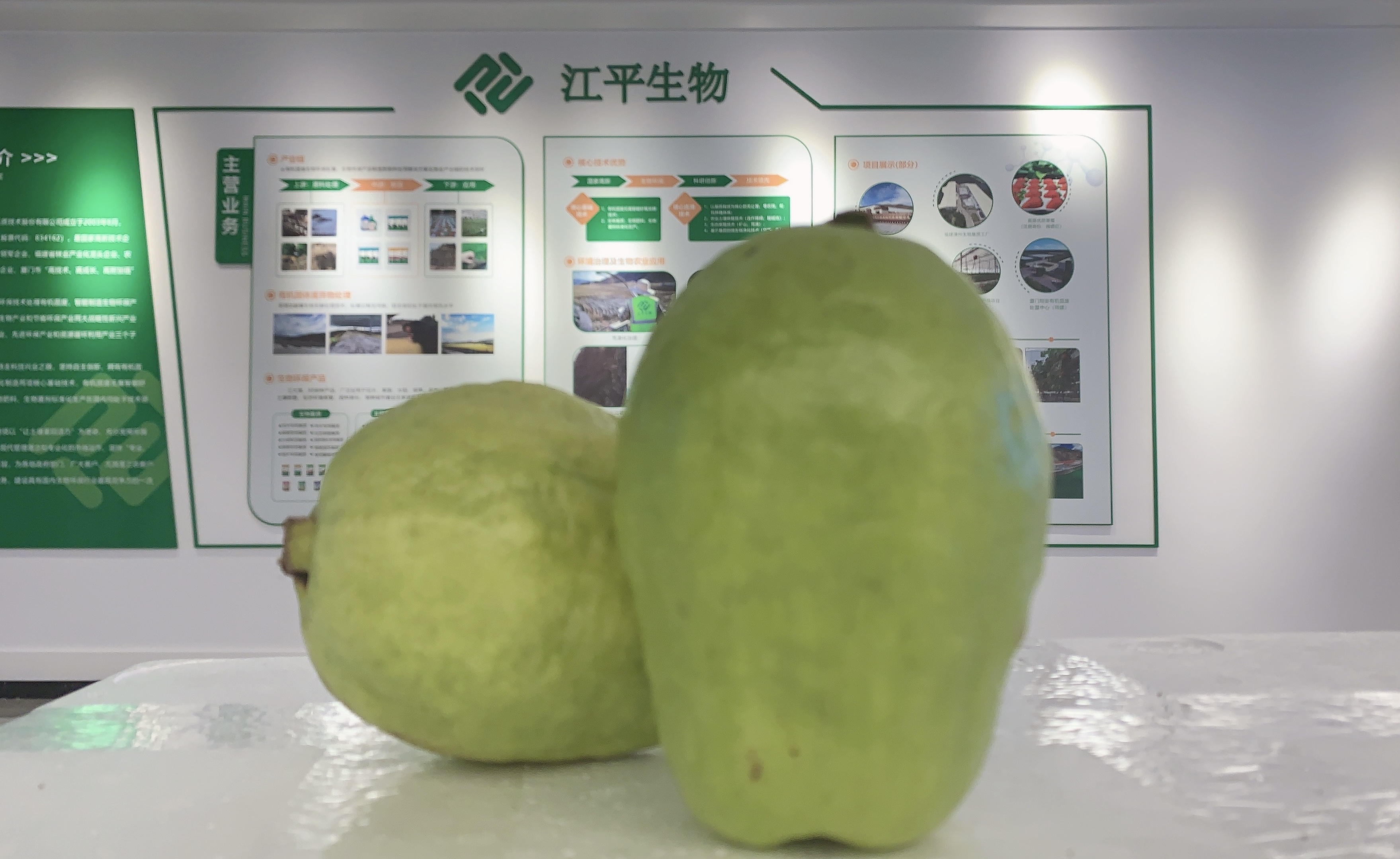 中国·BB贝博艾弗森(股份)有限公司-官方网站