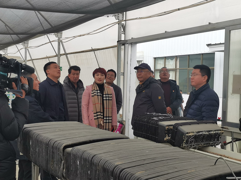 中国·BB贝博艾弗森(股份)有限公司-官方网站