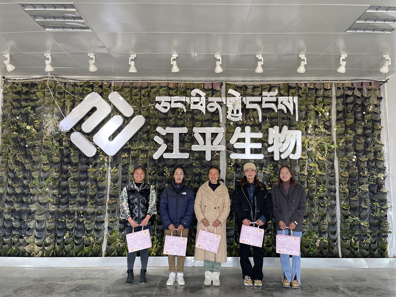 中国·BB贝博艾弗森(股份)有限公司-官方网站