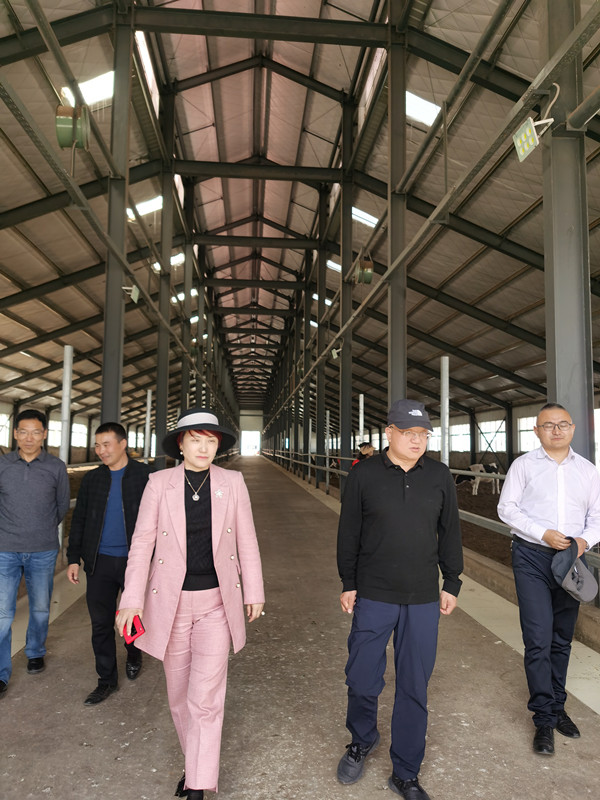 中国·BB贝博艾弗森(股份)有限公司-官方网站