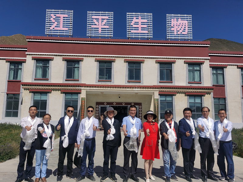 中国·BB贝博艾弗森(股份)有限公司-官方网站