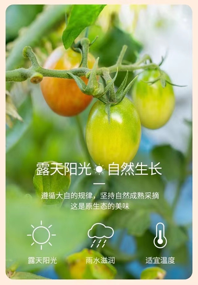 中国·BB贝博艾弗森(股份)有限公司-官方网站