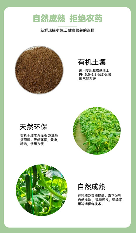 中国·BB贝博艾弗森(股份)有限公司-官方网站
