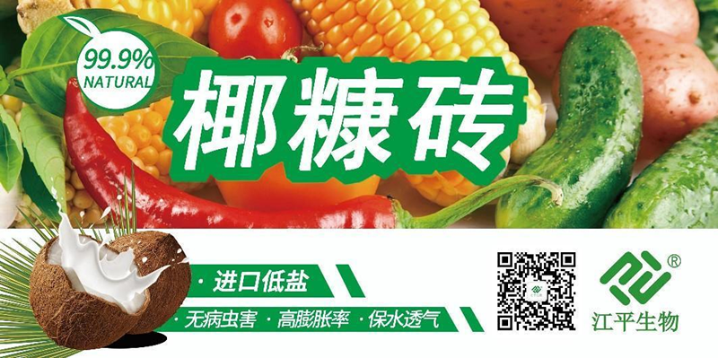 中国·BB贝博艾弗森(股份)有限公司-官方网站