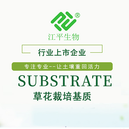 中国·BB贝博艾弗森(股份)有限公司-官方网站