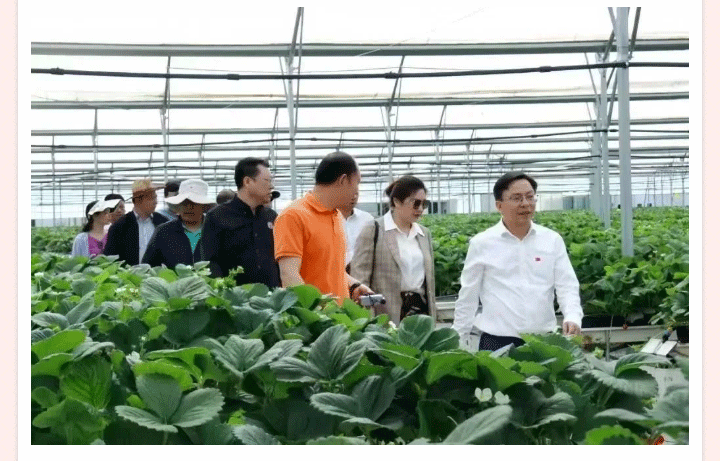 中国·BB贝博艾弗森(股份)有限公司-官方网站