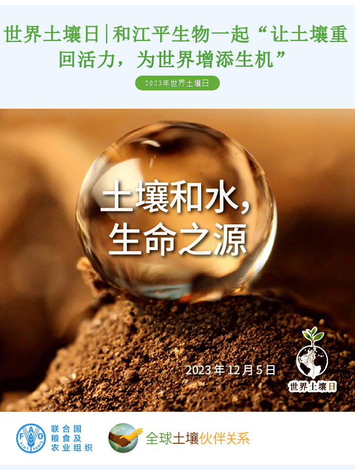 中国·BB贝博艾弗森(股份)有限公司-官方网站