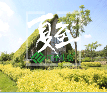 中国·BB贝博艾弗森(股份)有限公司-官方网站